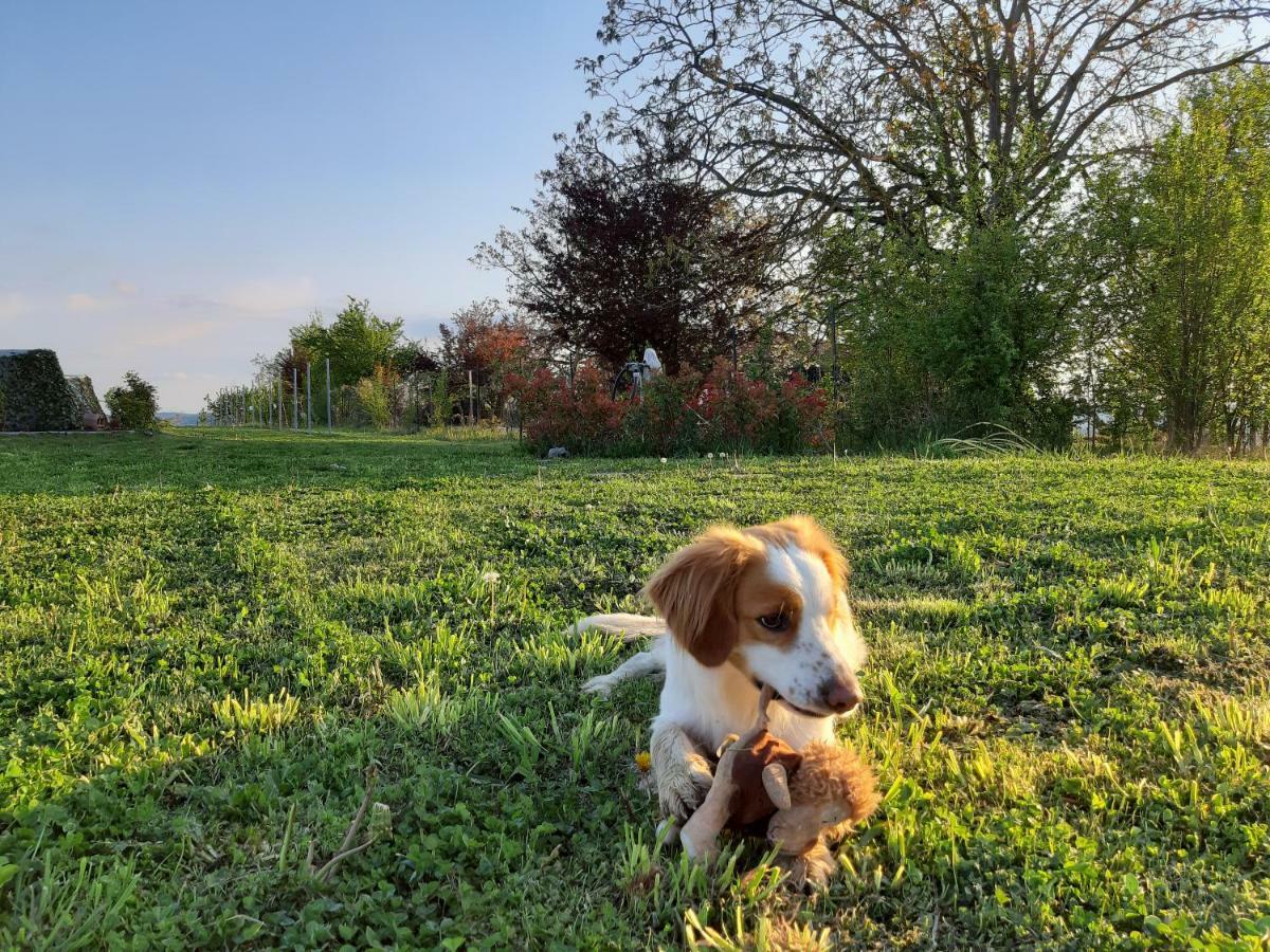 Vila Il Balcone Sul Monferrato Tonco Exteriér fotografie